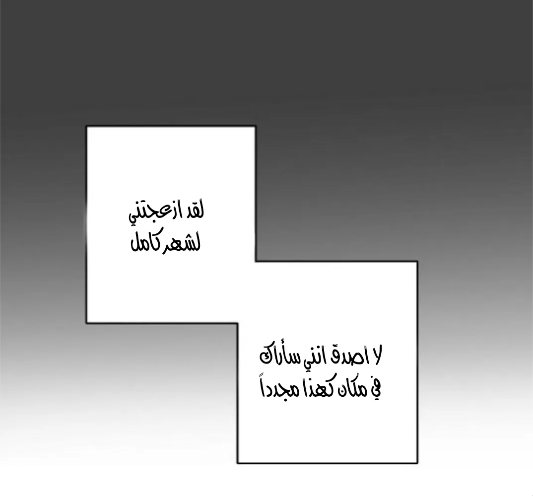 نسبة الحب – الفصل 20.2 page 13